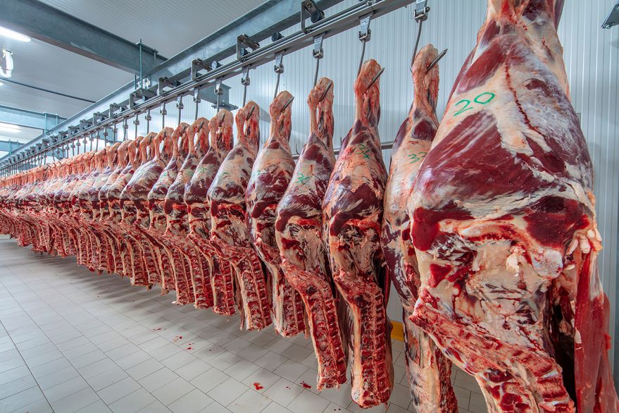 El precio de la carne en alza y la faena en retroceso